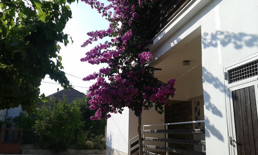 Apartment Anna Zadar Exterior foto